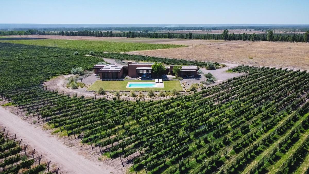 Villa Casa Crux - Bodega Alfa Crux Eugenio Bustos Exterior foto